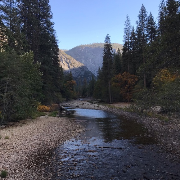 Meet your Posher, Janine - Picture 1 of 1